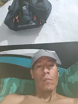 PITTER 2202 online show from January 2026 03:17:02 PM