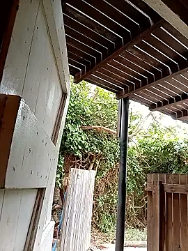 Snapshot of dicklife3485 chatting on February 2026 08:23:02 AM dicklife3485 online show from February 2026 08:23:02 AM