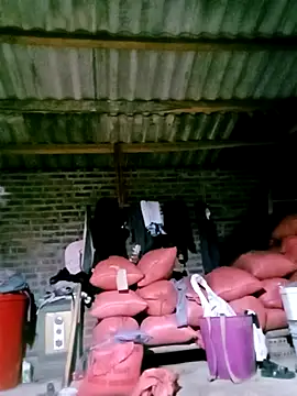 Diana-02 online show from April 2026 11:51:02 AM