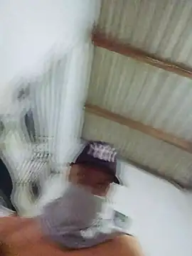 Snapshot of novinho_br29 chatting on February 2026 08:04:02 PM novinho br29 online show from February 2026 08:04:02 PM