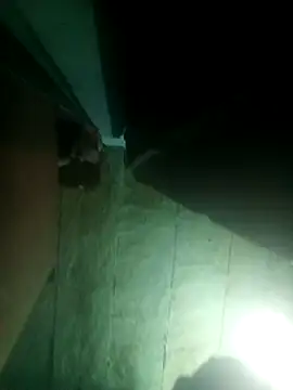 priyasharma899 online show from March 2026 12:06:01 AM