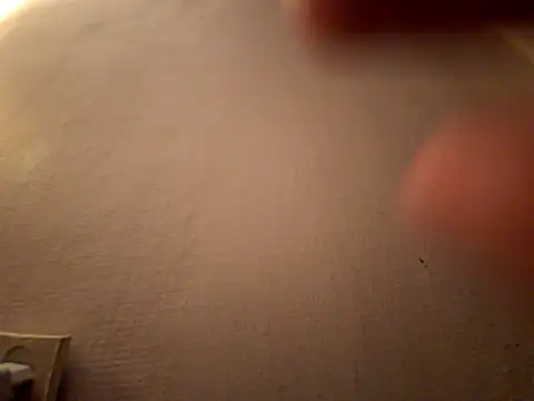 DanekBear online show from April 2026 10:38:01 PM