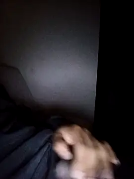 Snapshot of CorrectMusic2 chatting on February 2026 09:03:02 AM CorrectMusic2 online show from February 2026 09:03:02 AM