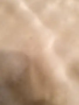 Snapshot of testmailx75 chatting on February 2026 09:23:01 PM testmailx75 online show from February 2026 09:23:01 PM