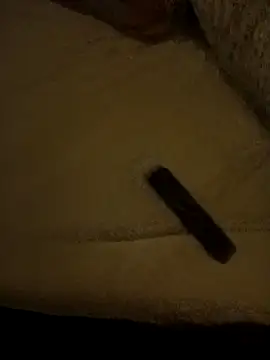 IndorsedTimid online show from February 2026 05:19:02 AM