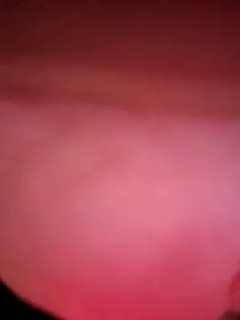 IndorsedTimid online show from April 2026 11:46:02 PM