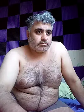 Bear 1985 online show from April 2026 02:32:01 PM