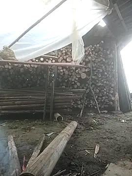 cutebobi online show from February 2026 06:40:02 AM