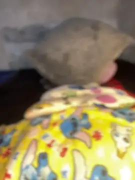 Snapshot of Iam_AlexandraRey chatting on February 2026 12:07:01 AM Iam AlexandraRey online show from February 2026 12:07:01 AM