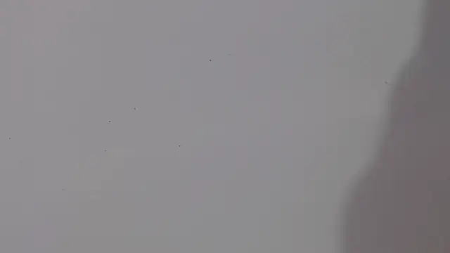 Snapshot of adara_cute_69 chatting on February 2026 06:12:02 PM adara cute 69 online show from February 2026 06:12:02 PM