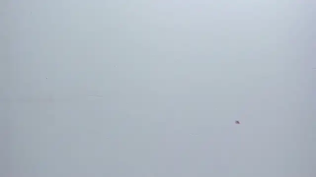 Melanie  Evans online show from March 2026 10:51:01 AM