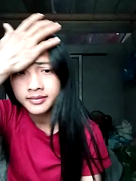 Hoa-tuylip online show from February 2026 08:30:02 AM