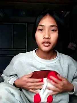 Hoa-tuylip online show from February 2026 06:37:01 AM