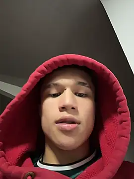 Snapshot of Dominik_Souza chatting on July 2026 04:15:01 AM Dominik Souza online show from July 2026 04:15:01 AM