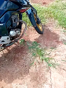 Snapshot of negrim10 chatting on February 2026 12:31:01 PM negrim10 online show from February 2026 12:31:01 PM