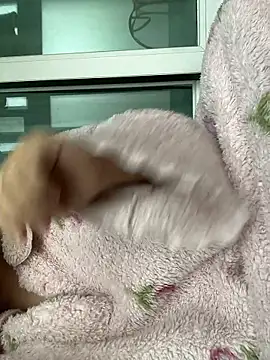 Snapshot of wjddjwjd chatting on February 2026 11:52:01 PM wjddjwjd online show from February 2026 11:52:01 PM