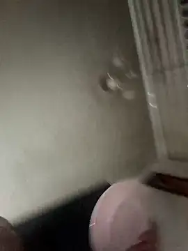 maynor 1998 online show from April 2026 11:40:02 PM