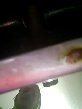 khushi rawat online show from February 2026 02:17:02 AM