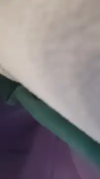 Snapshot of GassyClop chatting on April 2026 12:53:01 AM GassyClop online show from April 2026 12:53:01 AM