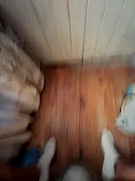 Snapshot of Franco10_- chatting on February 2026 09:11:02 PM Franco10 - online show from February 2026 09:11:02 PM