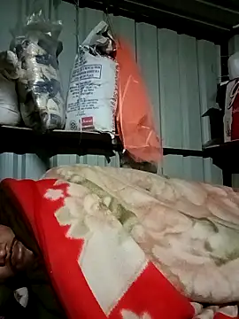 Snapshot of Krishna-10 chatting on February 2026 05:17:02 PM Krishna-10 online show from February 2026 05:17:02 PM