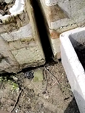 Snapshot of Queen-love45 chatting on March 2026 03:41:02 AM Queen-love45 online show from March 2026 03:41:02 AM