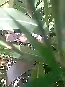 Snapshot of Cute_Boy_4 chatting on March 2026 05:09:02 AM Cute Boy 4 online show from March 2026 05:09:02 AM