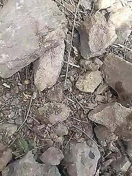 Cute Boy 4 online show from March 2026 06:47:02 AM