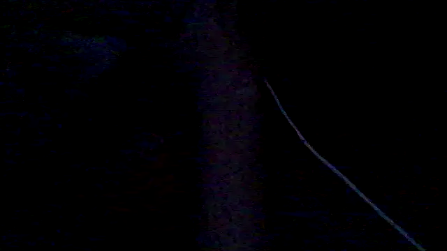 lorraine2036 online show from February 2026 11:33:01 AM