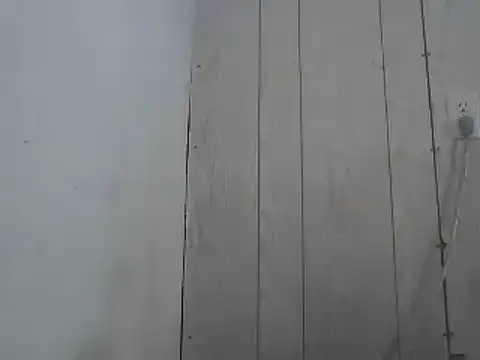 Prikev38452 online show from April 2026 02:14:02 PM