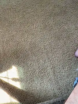 bwcjay2026 online show from March 2026 06:34:02 PM