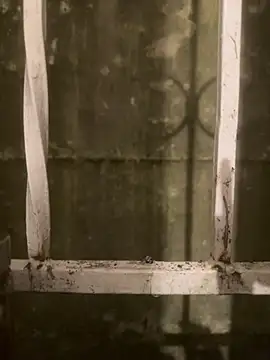 Diggaoder online show from April 2026 03:46:01 AM