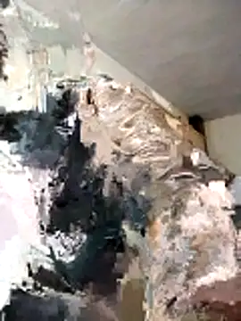 BoxedDitty online show from February 2026 03:18:01 AM