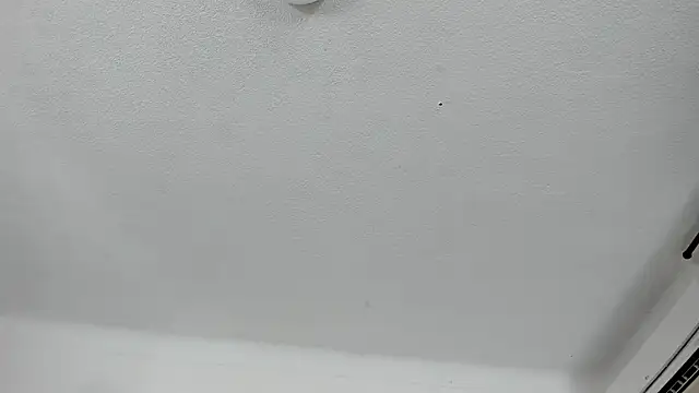 Snapshot of Nico_Hillx chatting on February 2026 11:01:01 PM Nico Hillx online show from February 2026 11:01:01 PM