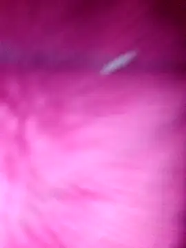 Hellentrans24 online show from March 2026 08:53:02 AM