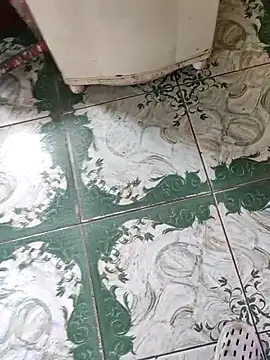 Gordinho dos pes online show from March 2026 03:52:01 PM