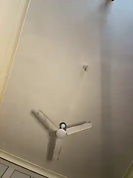 torchermachine online show from April 2026 08:20:02 PM