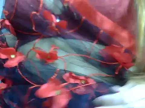 Snapshot of anvika_1709 chatting on February 2026 04:33:01 PM anvika 1709 online show from February 2026 04:33:01 PM