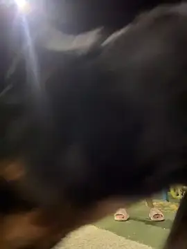 Snapshot of Arya___ chatting on February 2026 05:47:02 AM Arya online show from February 2026 05:47:02 AM