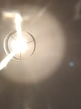 Snapshot of creativeX chatting on February 2026 10:24:02 PM creativeX online show from February 2026 10:24:02 PM