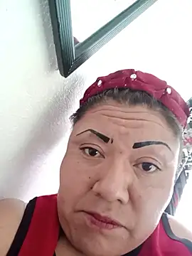 Snapshot of perrit17 chatting on February 2026 11:48:01 PM perrit17 online show from February 2026 11:48:01 PM