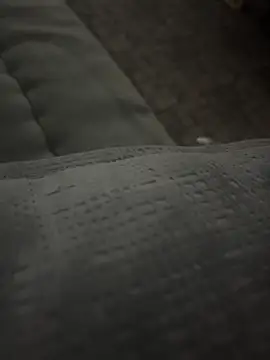 Snapshot of X7med chatting on February 2026 08:42:02 PM X7med online show from February 2026 08:42:02 PM