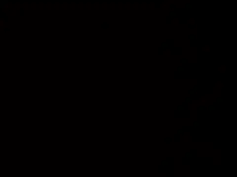 macariocb online show from May 2026 05:43:02 PM