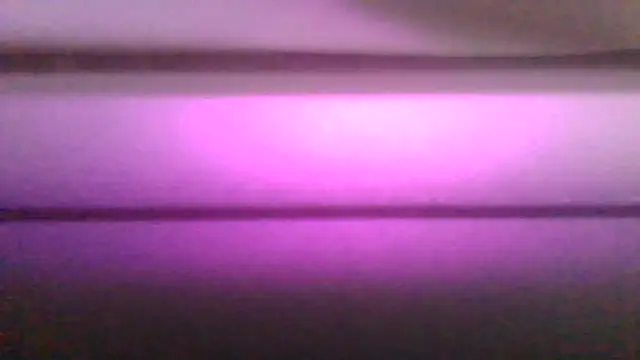 kaimsdecadus555 online show from February 2026 11:55:02 PM