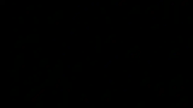 dixiedevin online show from April 2026 10:50:02 AM