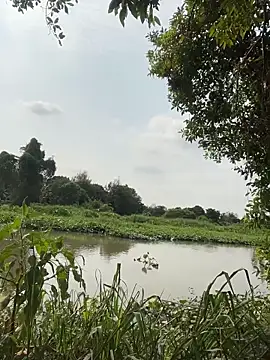 Lewd couple online show from April 2026 02:14:01 AM