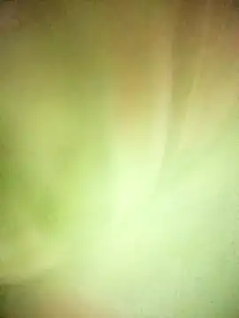 Snapshot of BIG_QWEEN_NO1 chatting on February 2026 06:37:01 AM BIG QWEEN NO1 online show from February 2026 06:37:01 AM