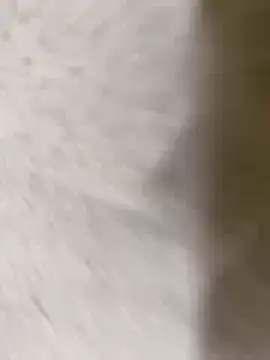 chennai sexyboy online show from February 2026 04:32:01 PM