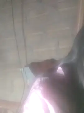 Snapshot of Yang-my- chatting on February 2026 03:08:01 PM Yang-my- online show from February 2026 03:08:01 PM