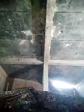 Loomaraj online show from April 2026 01:04:02 PM